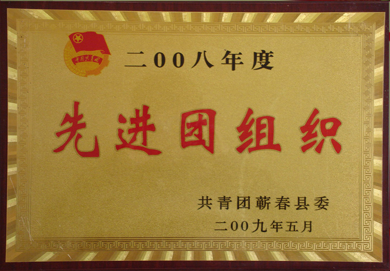 2009年荣获共青团蕲春县委颁发的先进团组织荣誉称号