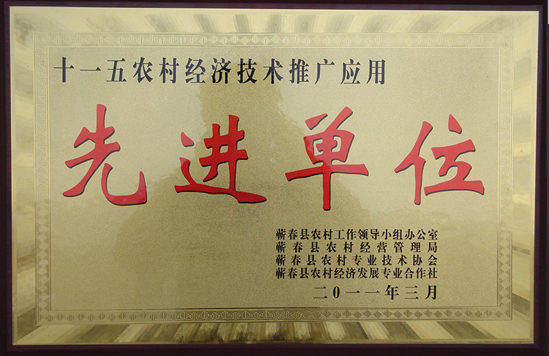 2011年荣获蕲春县农村工作领导小组颁发的先进单位荣誉称号