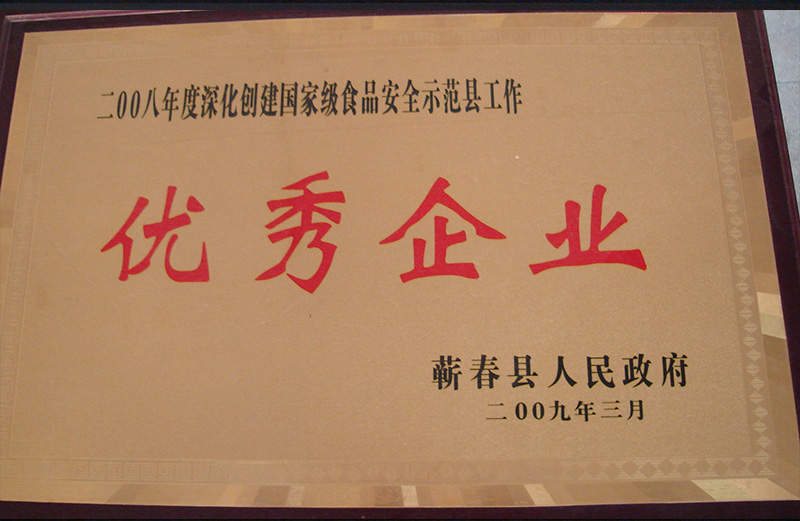 2009年荣获蕲春县人民政府颁发的优秀企业荣誉称号