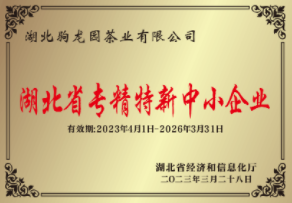 2023年3月认定为湖北省专精特新中小企业