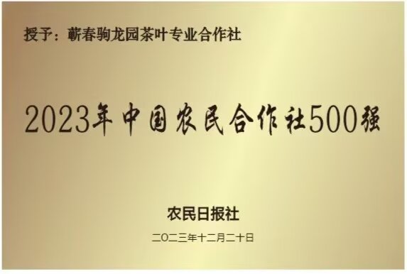2023年12月评选为中国农民合作社500强
