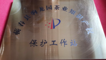 2022年10月授予蕲春县驹龙园茶业知识产权保护工作站